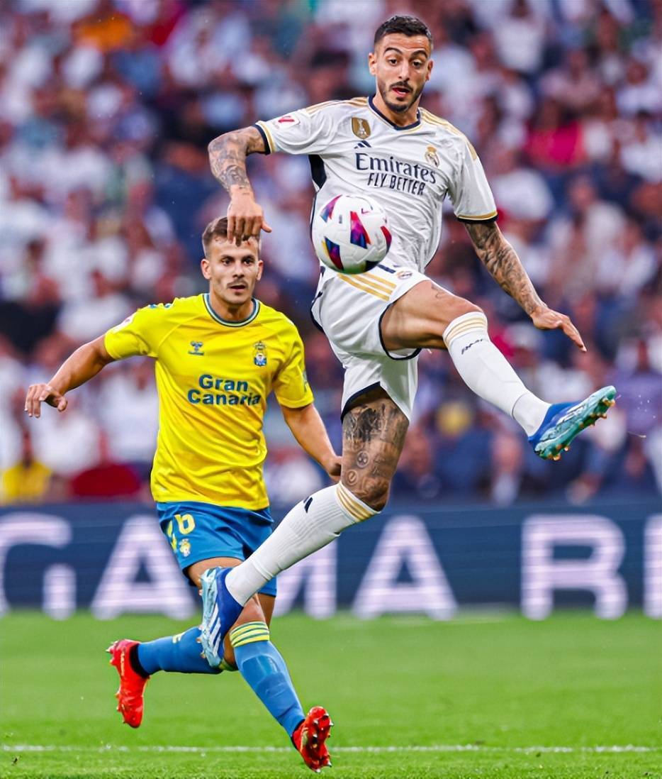 关于塔图姆迎来二十赛季出色发挥，曼联观众热烈欢呼！的信息